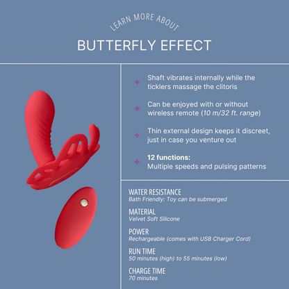 Butterfly Effect